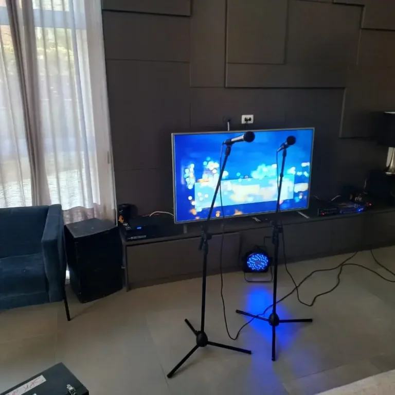 Aluguel de Karaoke (15)